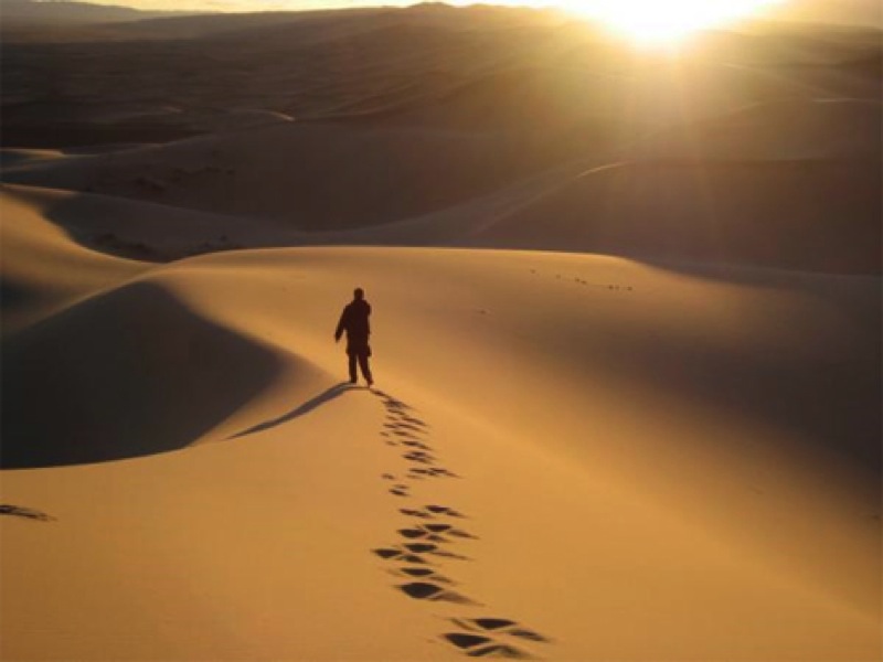 Wandering in the hot desert