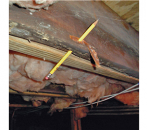 Turnaround Ministry, Dry Rotted Floor Joist